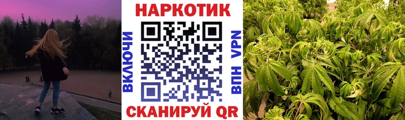 Хочу наркоту Бабаево МАРИХУАНА  Псилоцибиновые грибы  ГАШ 