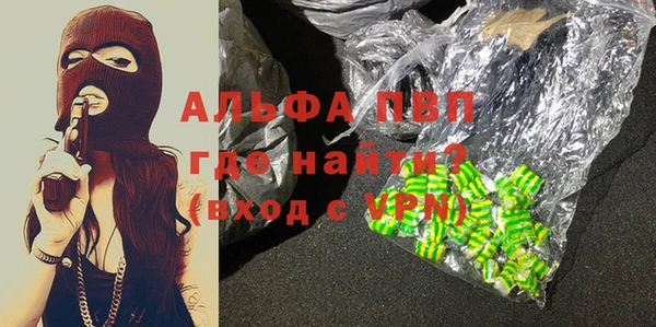 стаф Аркадак