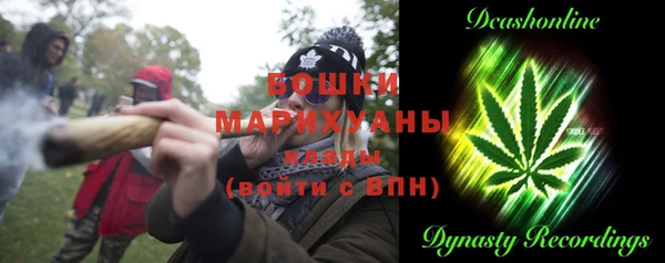 стаф Аркадак