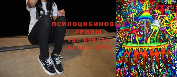 стаф Аркадак