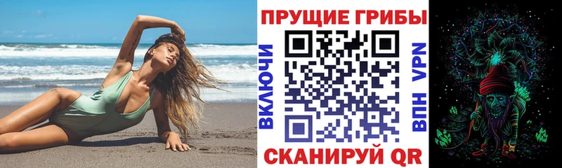 что такое наркотик Бабаево Галлюциногенные грибы мицелий